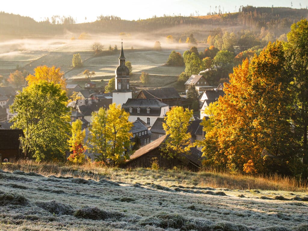 Der Blick über ein Feld durch Bäume auf ein Dorf. Eine herbstliche Morgenstimmung.